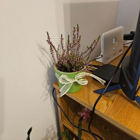 קנין Apartman Noa מראה חיצוני תמונה