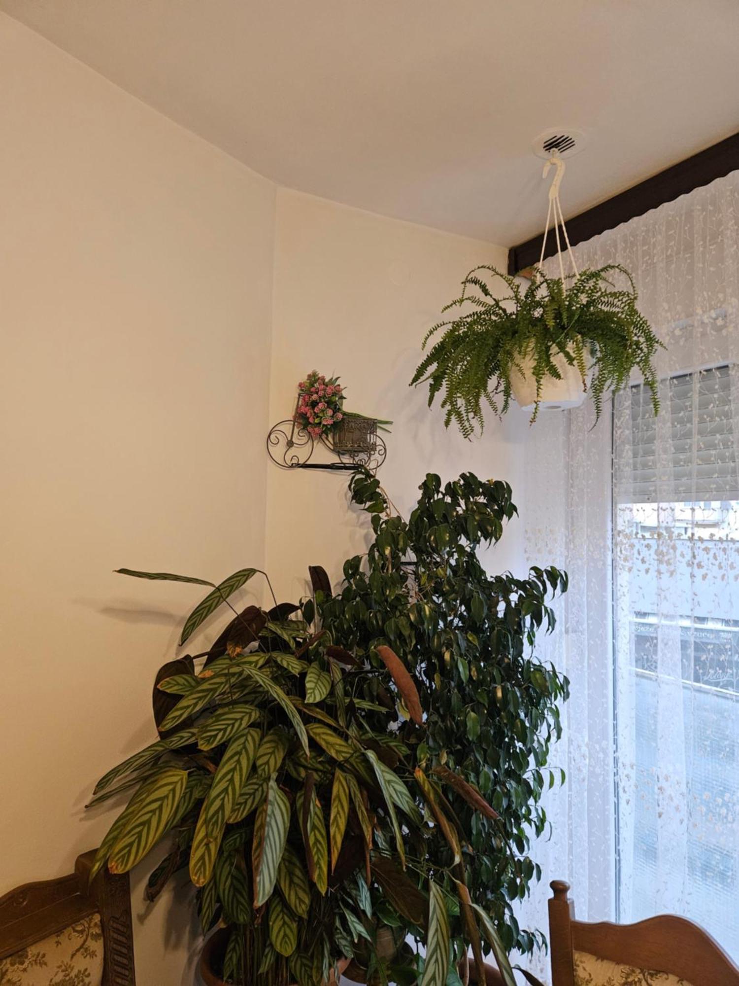 קנין Apartman Noa מראה חיצוני תמונה