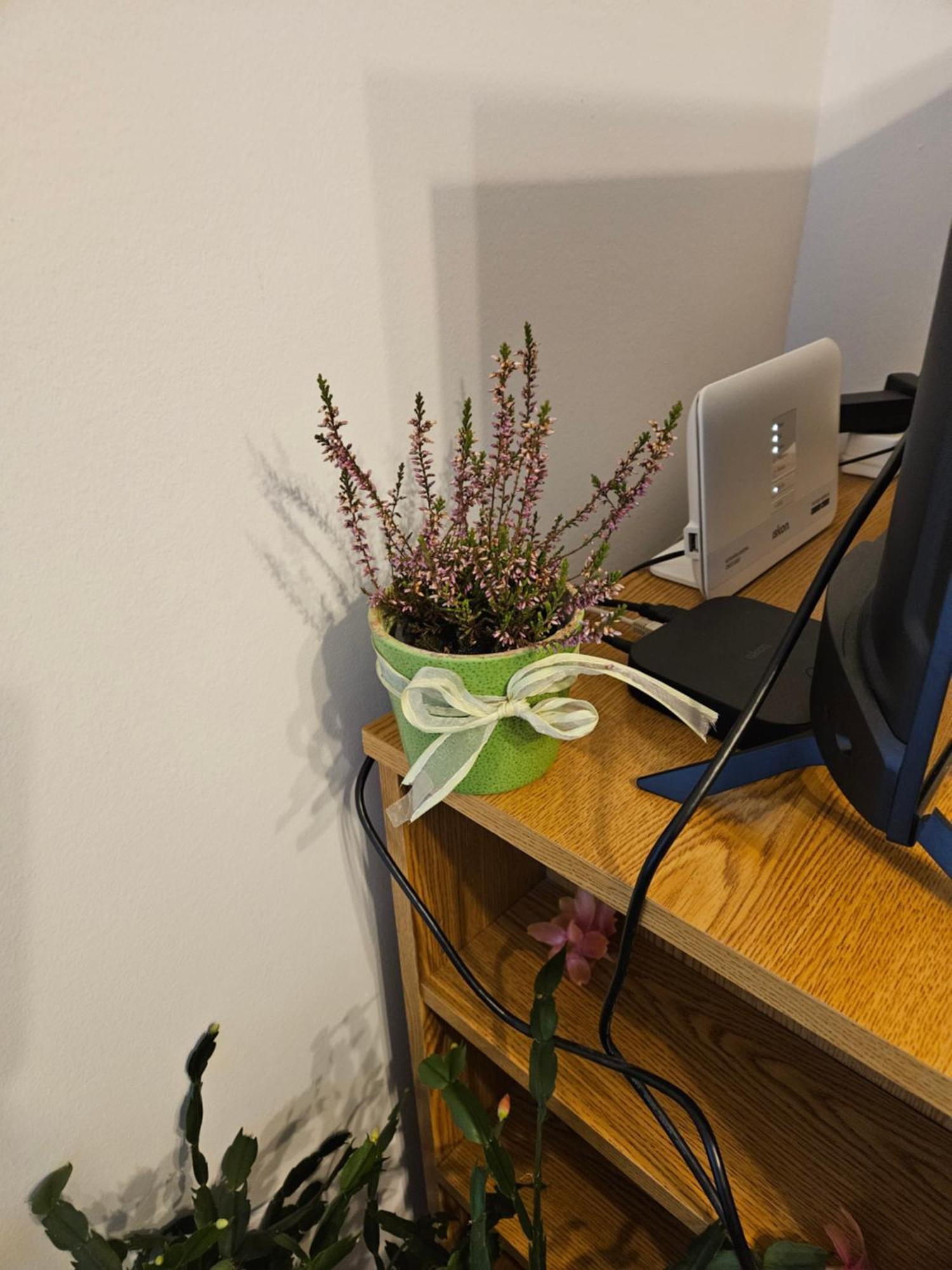 קנין Apartman Noa מראה חיצוני תמונה